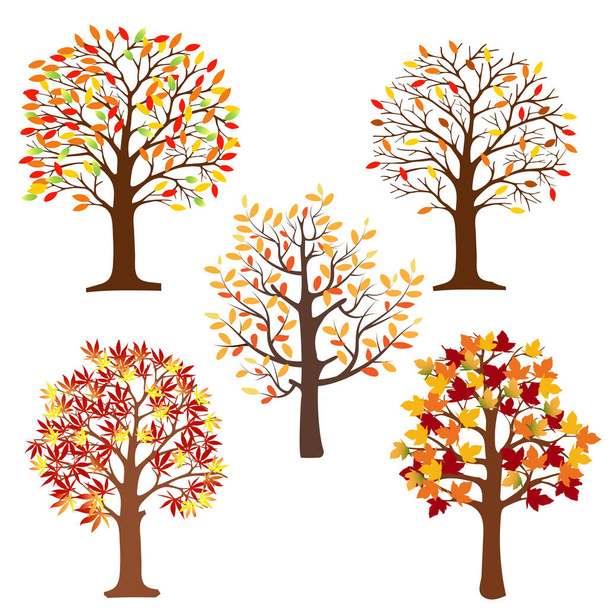 Διάνυσμα σύνολο φθινοπωρινών δέντρων που απομονώνονται σε λευκό φόντο, Συλλογή φθινοπωρινών δέντρων κινουμένων σχεδίων σε κόκκινο, πορτοκαλί, κίτρινα φύλλα σε κλαδιά, πολύχρωμα δέντρα για Φθινοπωρινό πάρκο ή τοπίο φόντο. - Διάνυσμα, εικόνα