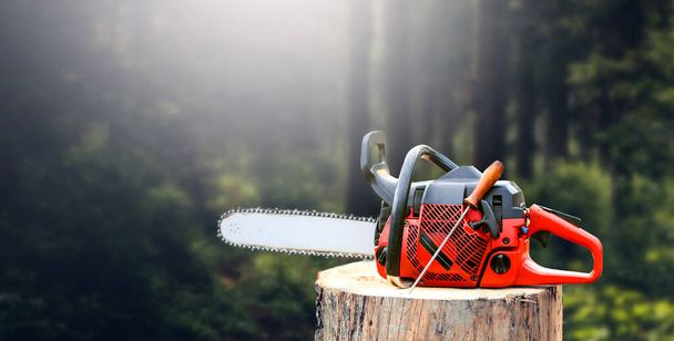 Red Chainsaw in the forest on a cut tree stump. - Photo, Image