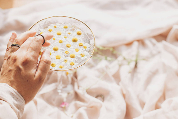 Hand with jewelry on background of soft beige fabric with stylish wineglass with daisy flowers in water. Tender floral aesthetic. Creative summer image. Bohemian mood - 写真・画像