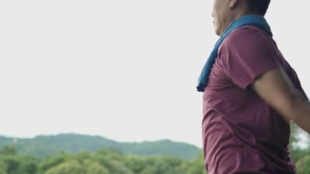 Asiatischer Mann macht Übung mit stehenden Armen zum Aufwärmen im Park, neue Lebensabenteuerarme Vollstreckung, Gesundheitsfürsorge, Körpermitte, einfache Grundübung für Anfänger, Diät zum Abnehmen - Filmmaterial, Video
