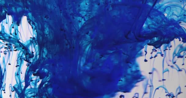 Gotas de pintura azul profundo mezclando en agua en cámara lenta. Tinta de cobalto suave girando
 - Metraje, vídeo