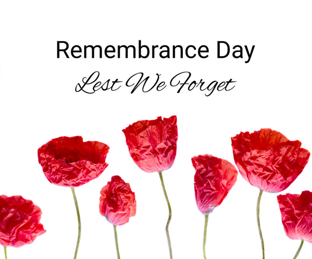 Remembrance poppy photo and lest we forget the concept banner. Anzac day also known as Armistice day. - Photo, Image