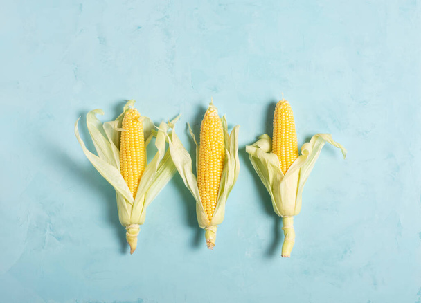 Tři klasy kukuřice leží na modrém pozadí, ploché, vypouklé, horizontální orientace. Koncept zdravé stravy. - Fotografie, Obrázek