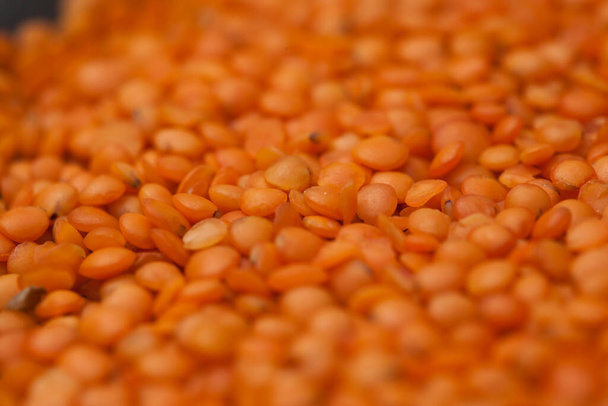 近くで採取された赤色のレンズ豆. - 写真・画像