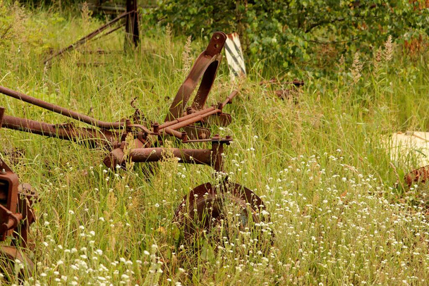 starren maszyny rolnicze porzucone w trawie pod lasem - Foto, Bild