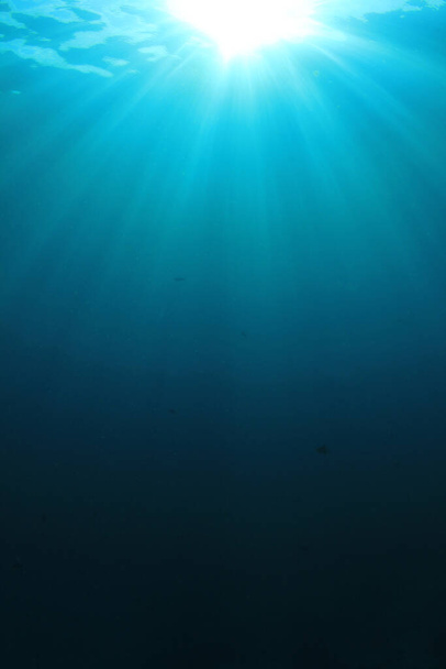 beautiful underwater landscape of the ocean - Φωτογραφία, εικόνα