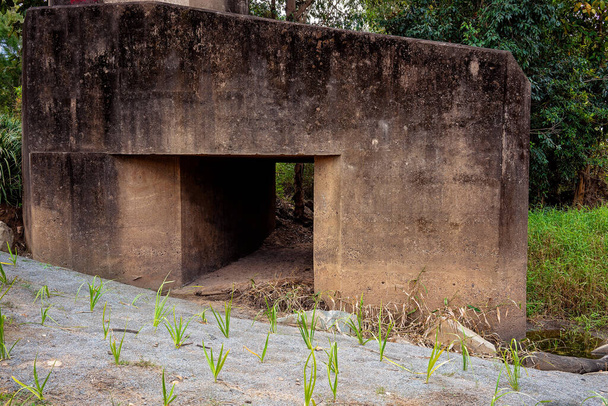 Bitkilerin yeniden ağaçlandırılması önplanıyla suyun akışını kolaylaştırmak için beton drenaj borusu. - Fotoğraf, Görsel