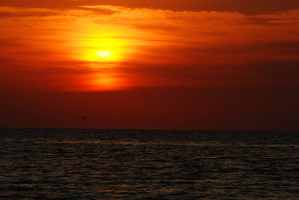 Salida del sol sobre el mar - Foto, imagen