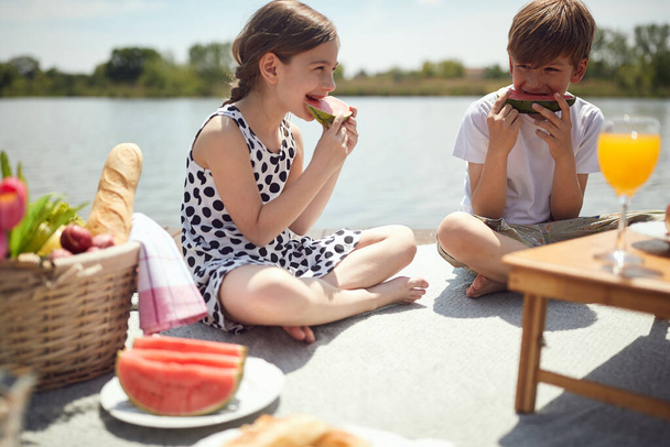 minor caucasian boy and girl eating watermelon at picnic by the river - Foto, immagini
