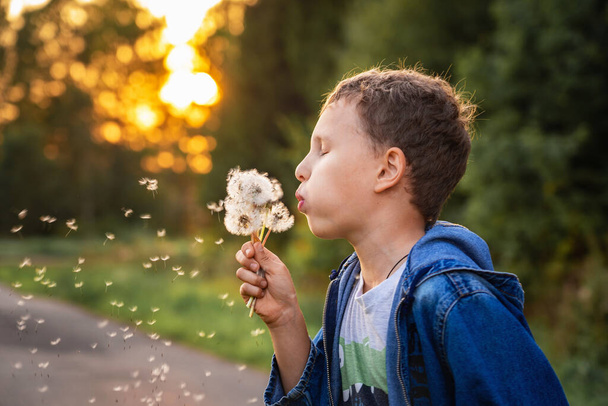 cute little boy blows on a dandelion at a summer sunset. a child holds a bunch of fluffy dandelions and blows on them and the flower seeds fly away. - Fotografie, Obrázek