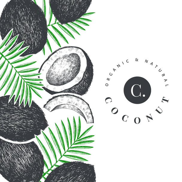 Coconut with palm leaves design template. Hand drawn vector food illustration. Engraved style exotic plant. Retro botanical tropical background. - Vektori, kuva