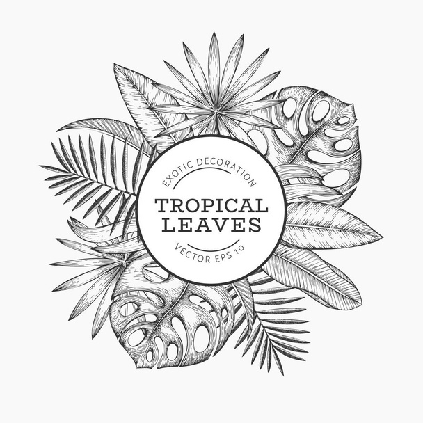 Tropical plants banner design. Hand drawn tropical summer exotic leaves illustration. Jungle leaves, palm leaves engraved style. Vintage background design - Vector, Image