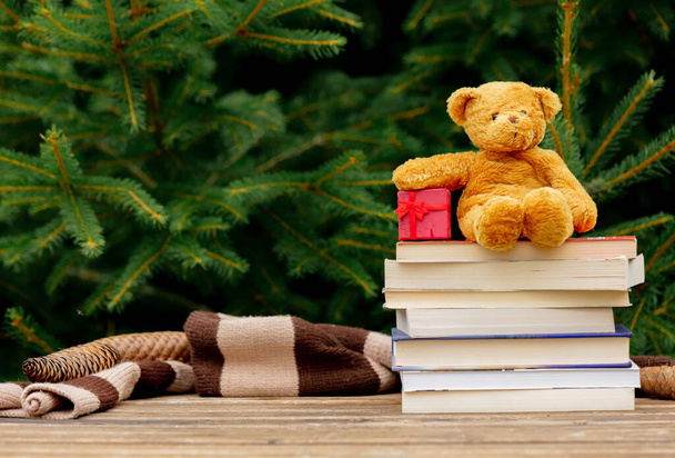 Little teddy beer speelgoed en boeken op houten tafel met sparren takken op de achtergrond - Foto, afbeelding