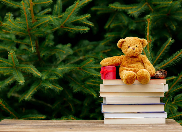 Kleiner Teddybär und Bücher auf Holztisch mit Fichtenzweigen im Hintergrund - Foto, Bild