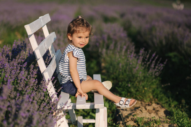 Cute little girl sits on bench in lavender field. Summer sunset - Photo, Image