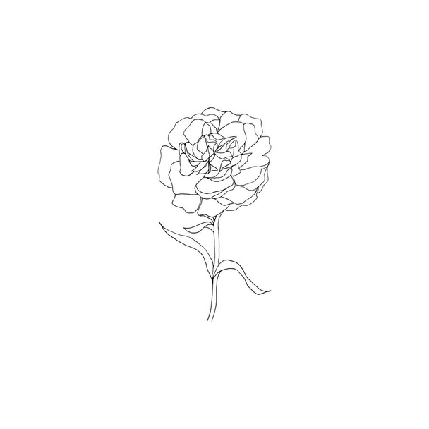 シンプルかつきれいな手の花を描いた。スケッチスタイルの植物イラスト。招待状、グリーティングカード、パッケージ、ラッピングなどに最適.  - ベクター画像