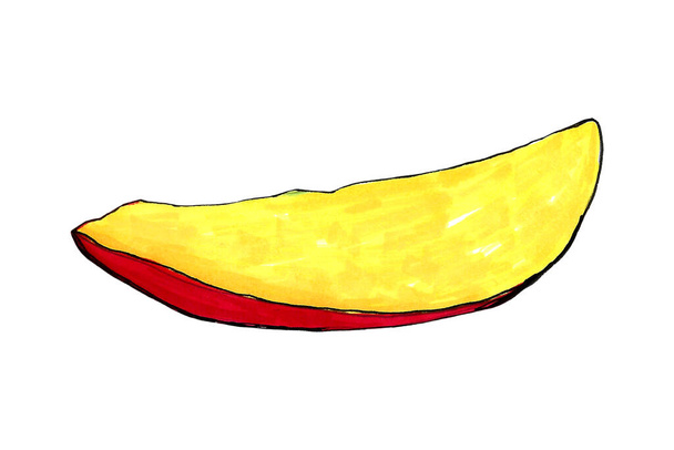 Hand drawn illustration of mango. Fruit drawing isolated on white background. Organic fruit grown on the farm - Foto, Imagem