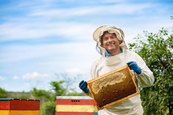 Beekeeper at apiary - Foto, afbeelding