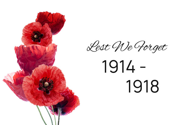 Remembrance day banner with red poppy flowers against white background. Memorial for vicrtims of World war - Photo, Image