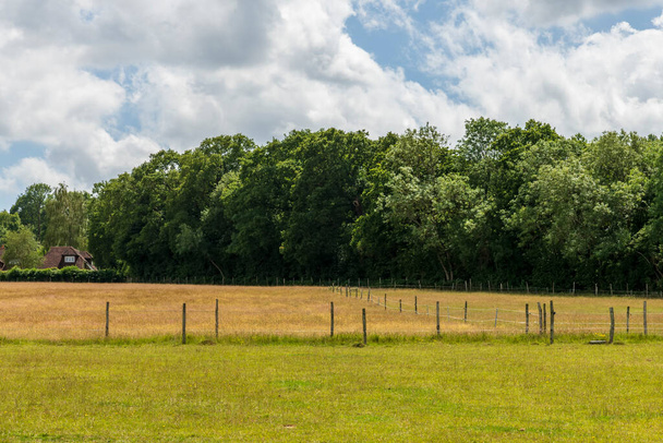 Vista del campo inglés de Sevenoaks, Kent, Reino Unido
 - Foto, imagen