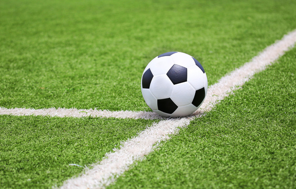 Soccer football on green grass field - 写真・画像
