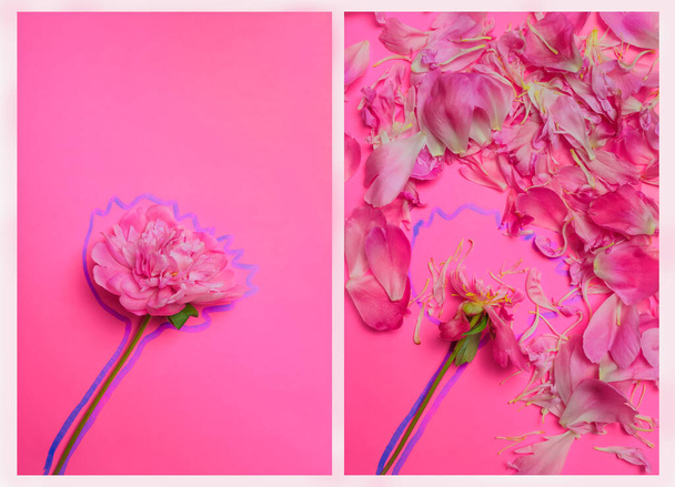 коллаж с пионом: 1. цветущий пион на розовом фоне, окруженный маркером 2. упавшие пионные лепестки на розовом фоне - Фото, изображение