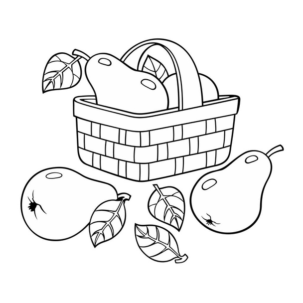 Pears in basket. Cartoon vector illustration - Vector, Image
