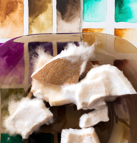 Trozos rotos de coco en un plato cubierto con moho blanco sobre un fondo de color
. - Foto, Imagen