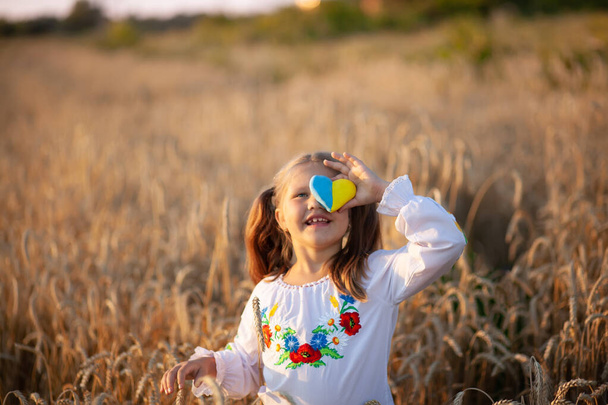 Bambina vestita con una camicia ricamata (vyshyvanka) con un cuore giallo e blu tra le mani in un campo di grano al tramonto. Il giorno dell'indipendenza dell'Ucraina. Piccolo patriota - Foto, immagini