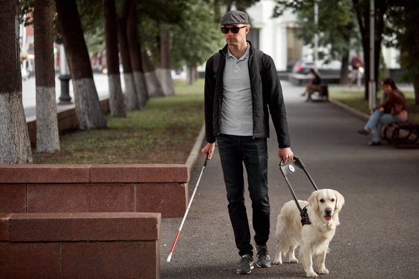 the concept of the blind invalid and the dog guide - Foto, afbeelding