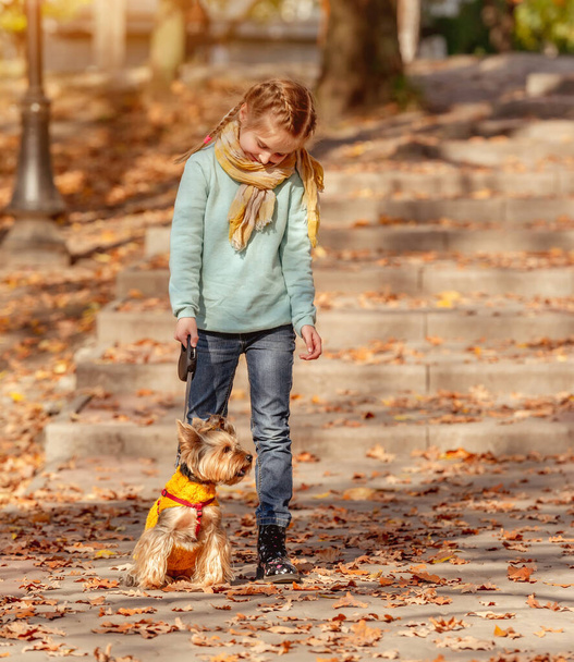 Cute girl with yorkshire terrier - Foto, imagen