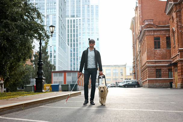 golden retriever helps a person to navigate in street - Fotoğraf, Görsel