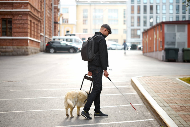golden retriever helps the owner to move freely in big city - Valokuva, kuva