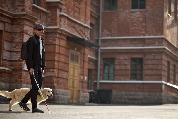 Uzun bastonlu körlere yardım eden rehber köpek şehirde yürüyor. - Fotoğraf, Görsel
