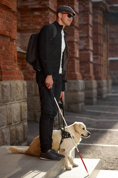 careful guide dog helping blind man in city - Photo, Image