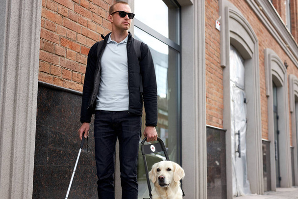 sick man with blindness get help by dog guide - Φωτογραφία, εικόνα
