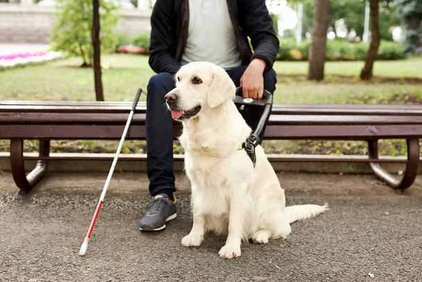 disabled person sit having rest with dog guide outdoors - Foto, Bild