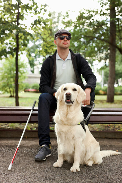 25 years old man suffer from blindness, get help by dog guide - Foto, Bild