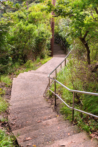 Каменная пешеходная лестница, ведущая через склоны в лесу каменоломни горы Нокогири к скале Джигоку Нозоки с видом на полуостров Босо. - Фото, изображение