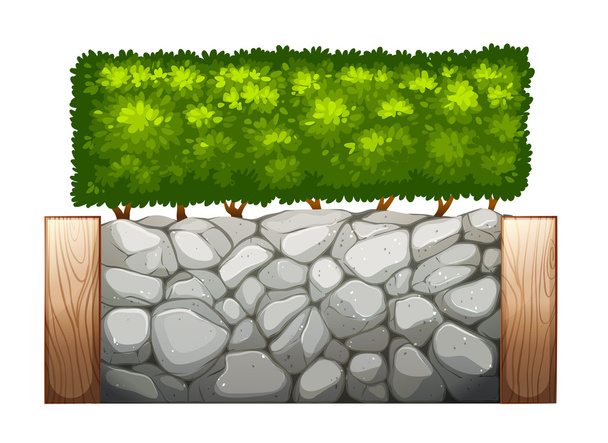 A stonewall with plants - Vector, Image