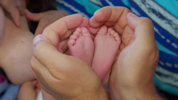 Baby feet in mother. Tiny Newborn Baby. - Footage, Video