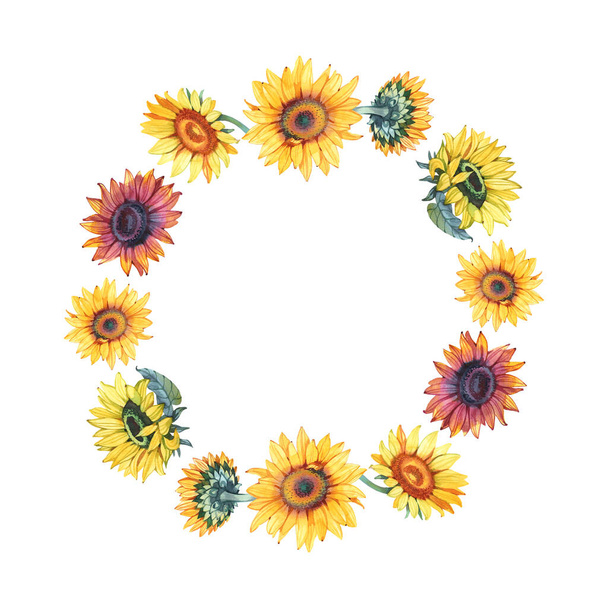 Watercolor sunflowers. Postcard for the wedding, birthday party. Summer. Autumn. Gentle warm colors. Wreath on white background - Photo, Image