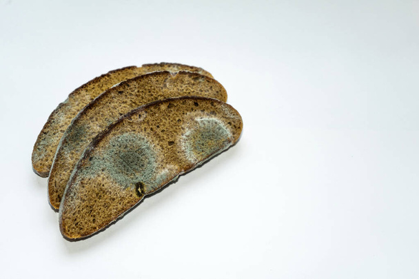molde sobre pan cubierto de hongos, pedazo de pan de centeno con moho blanco y negro - Foto, Imagen
