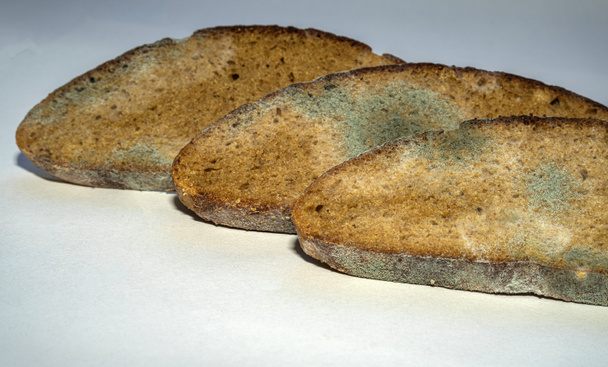 tres piezas de pan de centeno en mal estado cubierto con moho blanco y negro - Foto, imagen