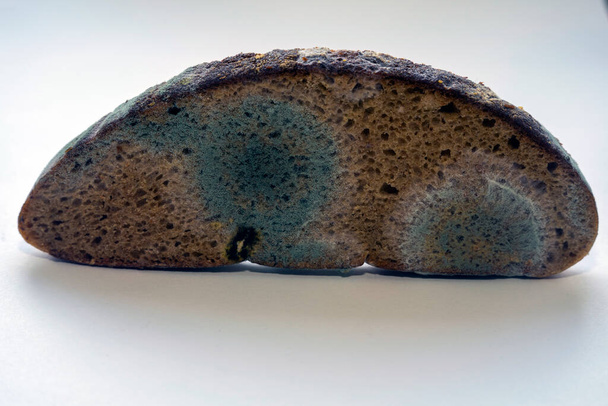 a piece of bread covered with mildew spots - Photo, Image