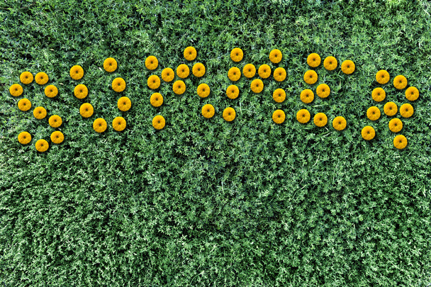 inscription of yellow flowers on a background of grass - Zdjęcie, obraz