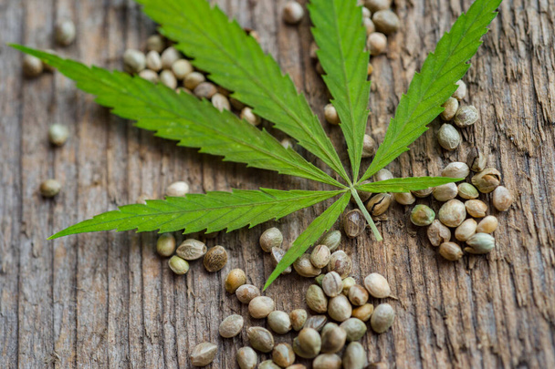 Hoja de cannabis verde y semillas sobre fondo de madera. Concepto de comida vegetariana
 - Foto, Imagen