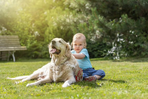 Cute liitle baby boy is playing with Golden Retriever dog in the garden - Foto, Imagen