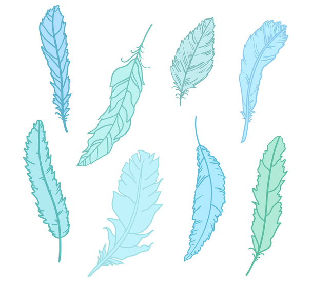 Feather. Design of colored feathers. Hand drawn elements on white background - Vector, Image