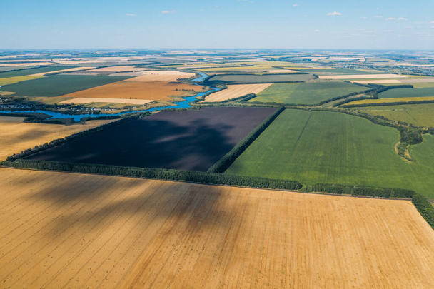 Green and yellow harvest fields aerial view, flight above on drone - Foto, afbeelding